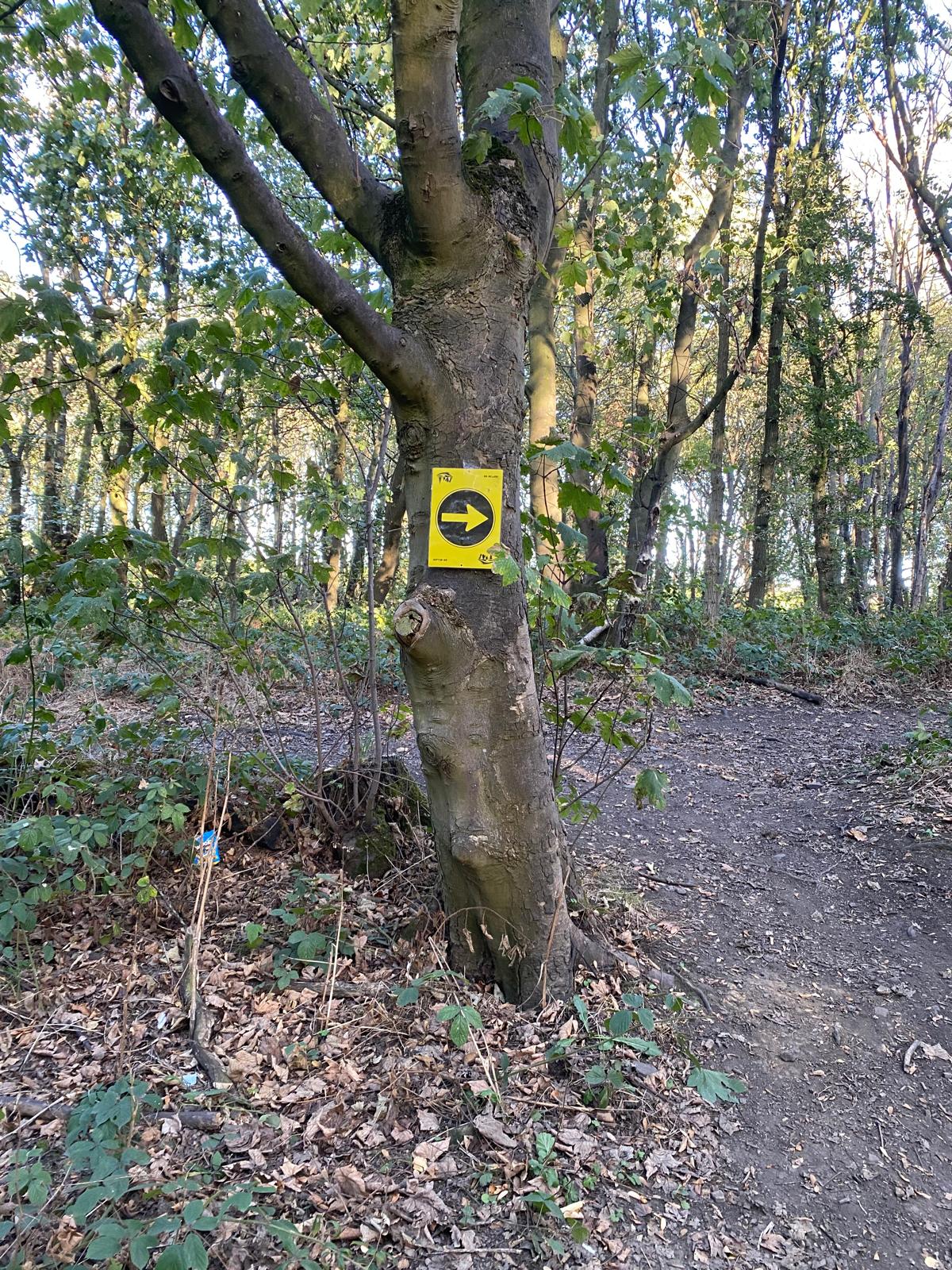 Arrow sign 13 at the Lady Wood exit