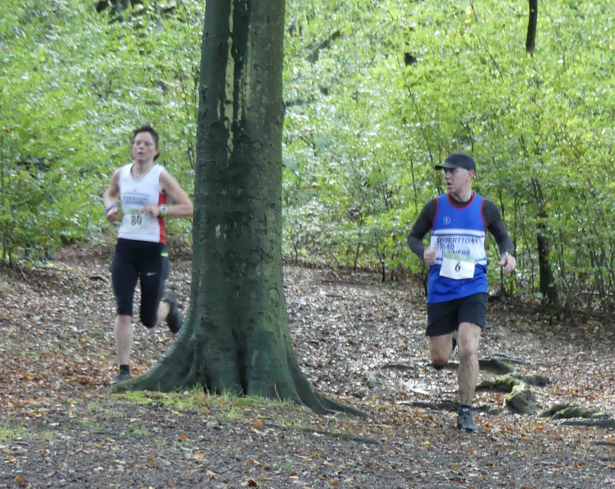 Hopton 10k 2019