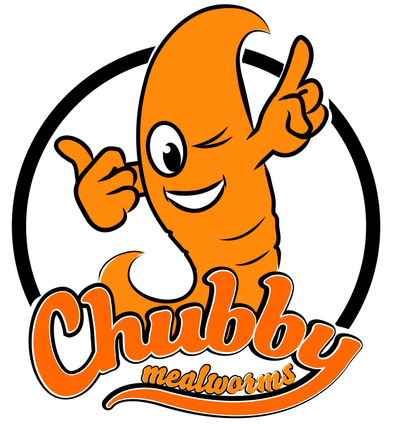 Chubby Mealworms